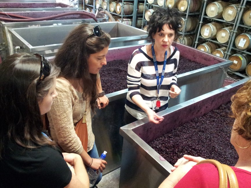 Ambler Touring: McLaren Vale / d'Arenberg Cube Food & Wine Tour - Photo 4